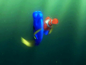 photo OMG.gif